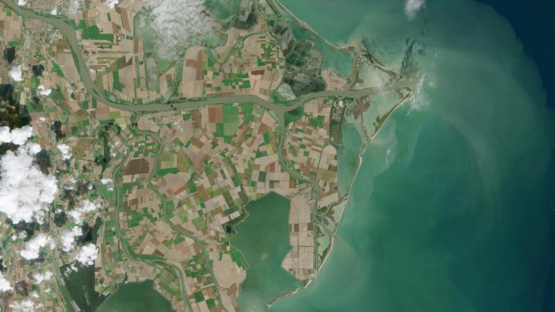 Stakeholder voices shaping Trace4EO